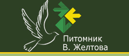 https://upforme.ru/uploads/0012/5a/ef/2/t288177.png