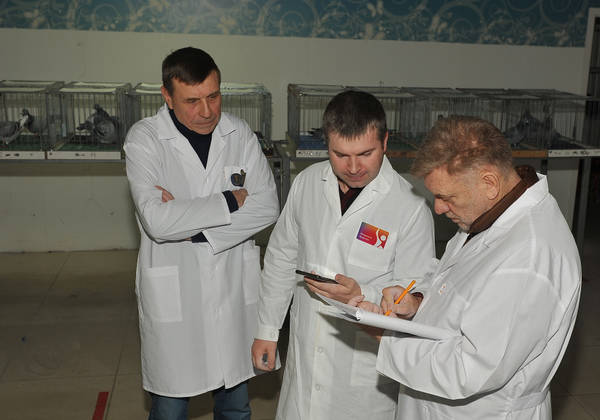 https://upforme.ru/uploads/0012/5a/ef/2/t30119.jpg