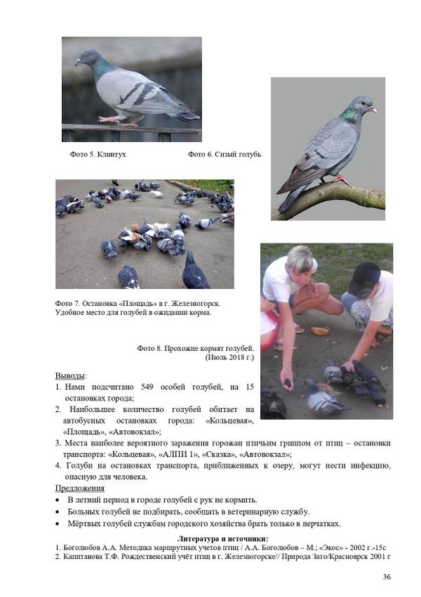 https://upforme.ru/uploads/0012/5a/ef/2/t303152.jpg