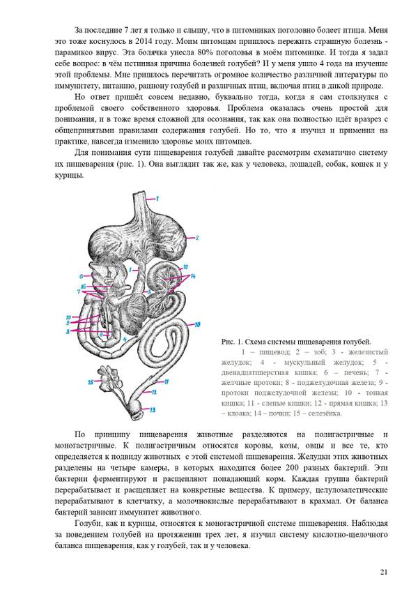 https://upforme.ru/uploads/0012/5a/ef/2/t350845.jpg