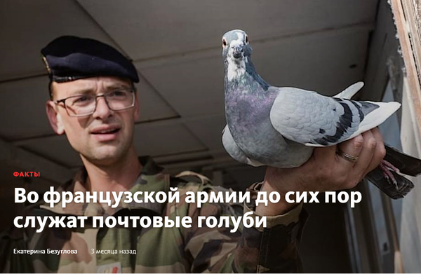 https://upforme.ru/uploads/0012/5a/ef/2/t374593.png