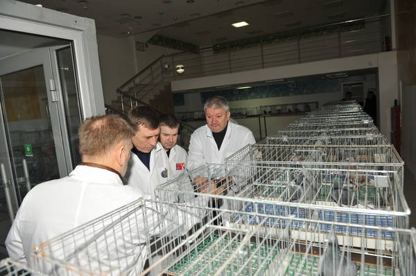 https://upforme.ru/uploads/0012/5a/ef/2/t380526.jpg