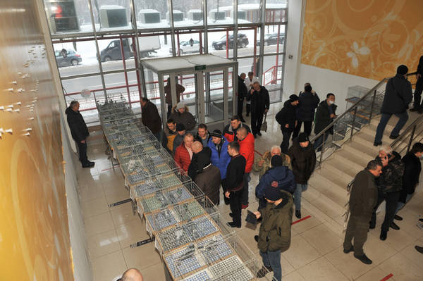 https://upforme.ru/uploads/0012/5a/ef/2/t420841.jpg