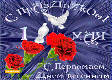 https://upforme.ru/uploads/0012/5a/ef/2/t512893.gif