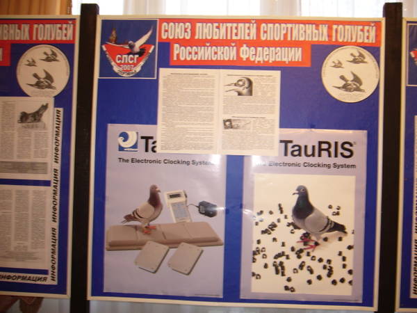 https://upforme.ru/uploads/0012/5a/ef/2/t515379.jpg