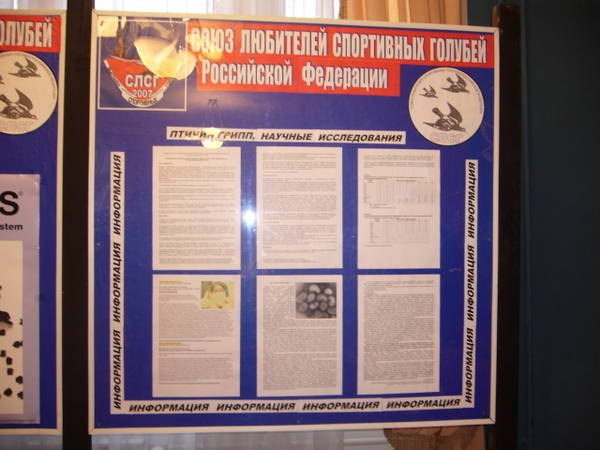 https://upforme.ru/uploads/0012/5a/ef/2/t518203.jpg