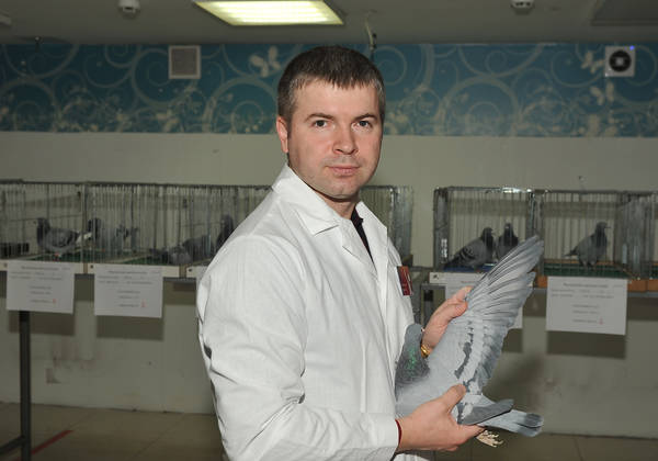 https://upforme.ru/uploads/0012/5a/ef/2/t58135.jpg