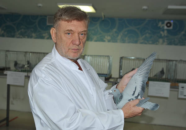 https://upforme.ru/uploads/0012/5a/ef/2/t583870.jpg