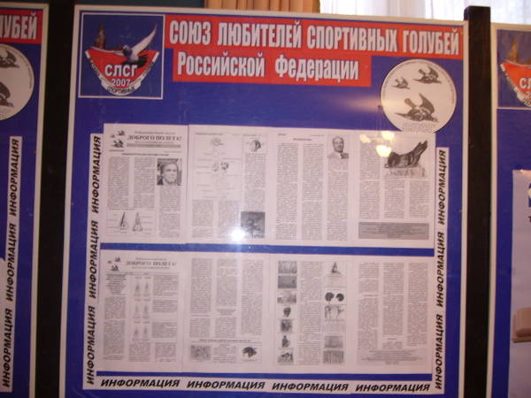 https://upforme.ru/uploads/0012/5a/ef/2/t623948.jpg