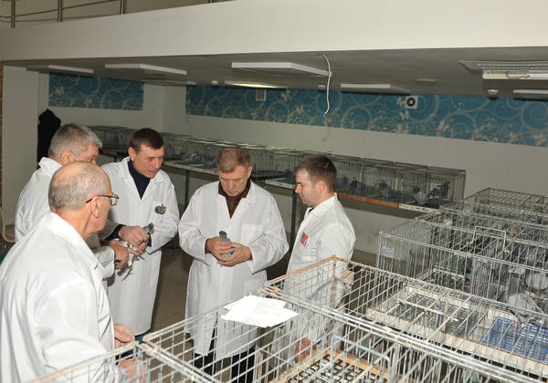 https://upforme.ru/uploads/0012/5a/ef/2/t627837.jpg