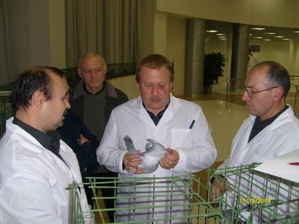 https://upforme.ru/uploads/0012/5a/ef/2/t912410.jpg