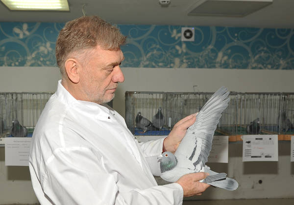 https://upforme.ru/uploads/0012/5a/ef/2/t949894.jpg