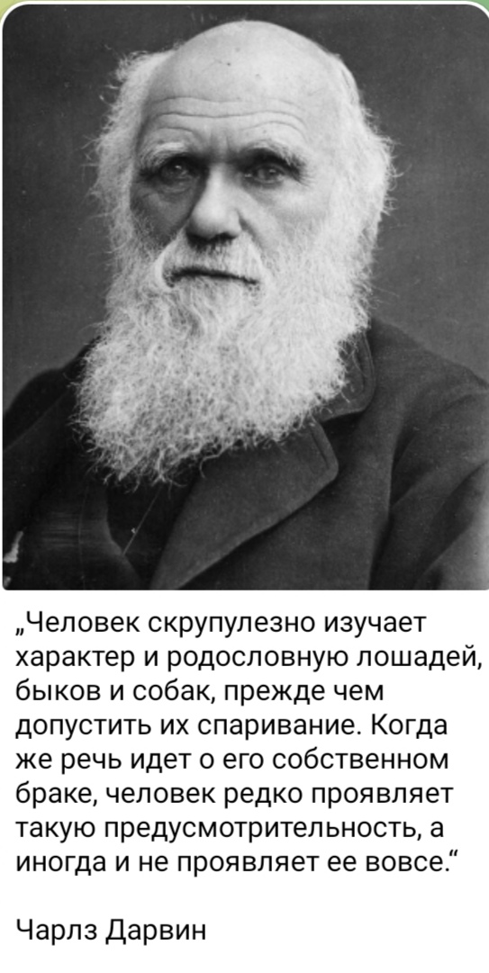 https://upforme.ru/uploads/0012/5a/ef/266/301596.jpg