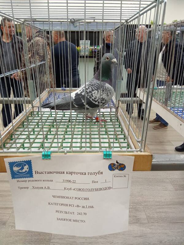 https://upforme.ru/uploads/0012/5a/ef/266/t157345.jpg