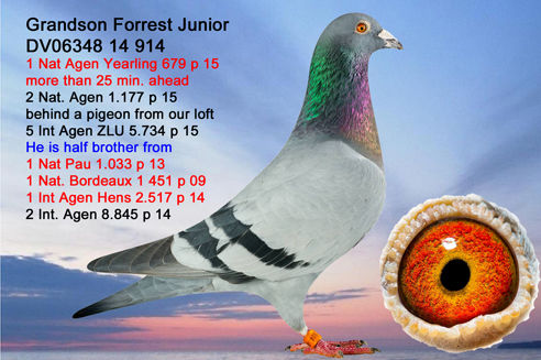 https://upforme.ru/uploads/0012/5a/ef/266/t200075.jpg