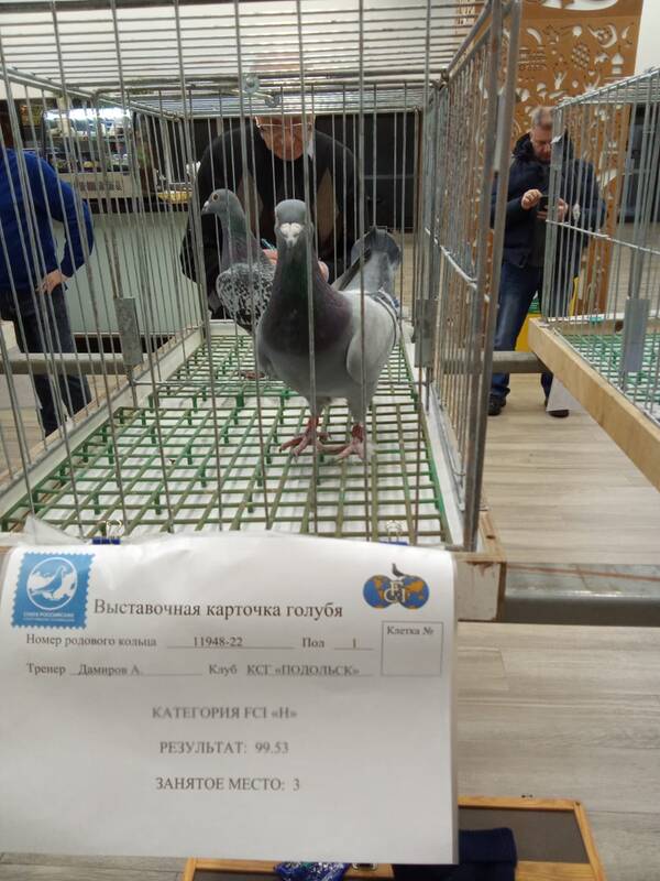 https://upforme.ru/uploads/0012/5a/ef/266/t284039.jpg