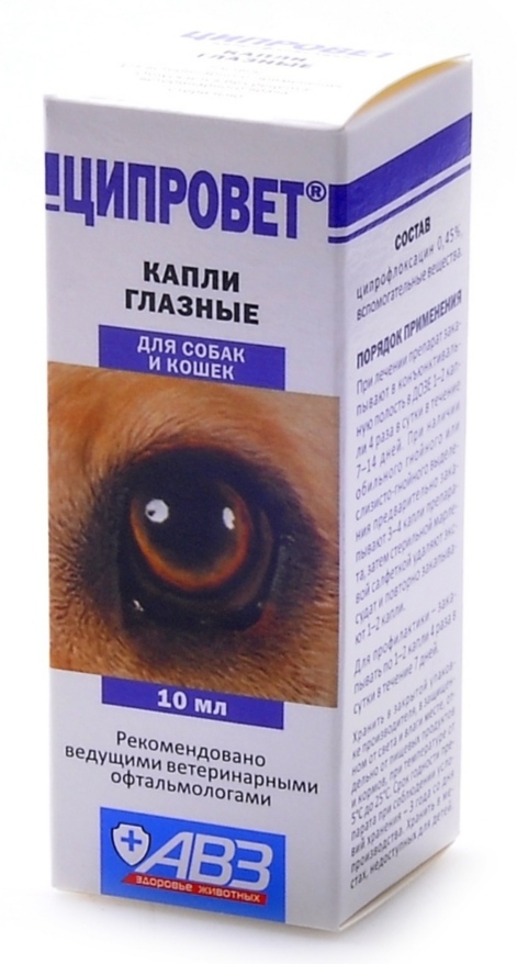 https://upforme.ru/uploads/0012/5a/ef/266/t299265.jpg