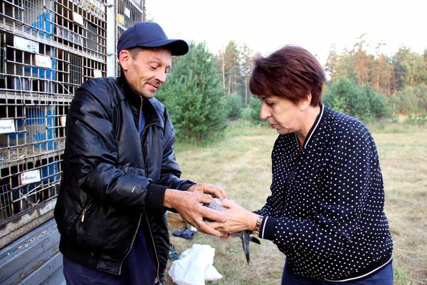 https://upforme.ru/uploads/0012/5a/ef/266/t314041.jpg