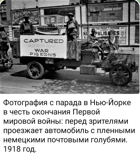 https://upforme.ru/uploads/0012/5a/ef/266/t320759.jpg