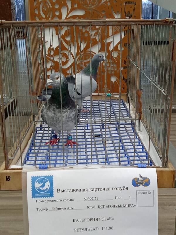 https://upforme.ru/uploads/0012/5a/ef/266/t35680.jpg
