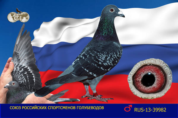 https://upforme.ru/uploads/0012/5a/ef/266/t377740.jpg