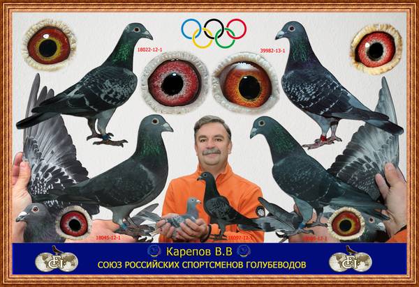 https://upforme.ru/uploads/0012/5a/ef/266/t480667.jpg