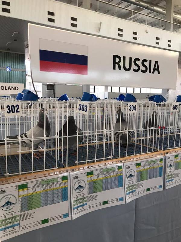 https://upforme.ru/uploads/0012/5a/ef/266/t51571.jpg