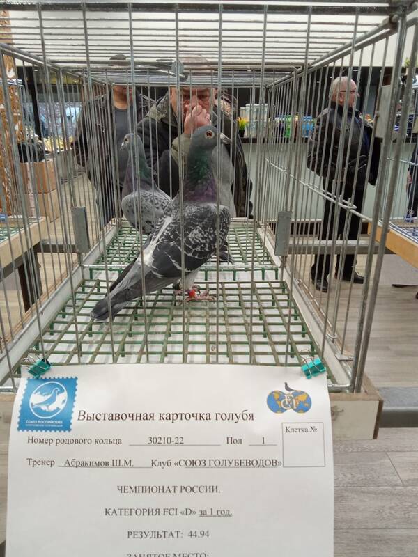 https://upforme.ru/uploads/0012/5a/ef/266/t520343.jpg