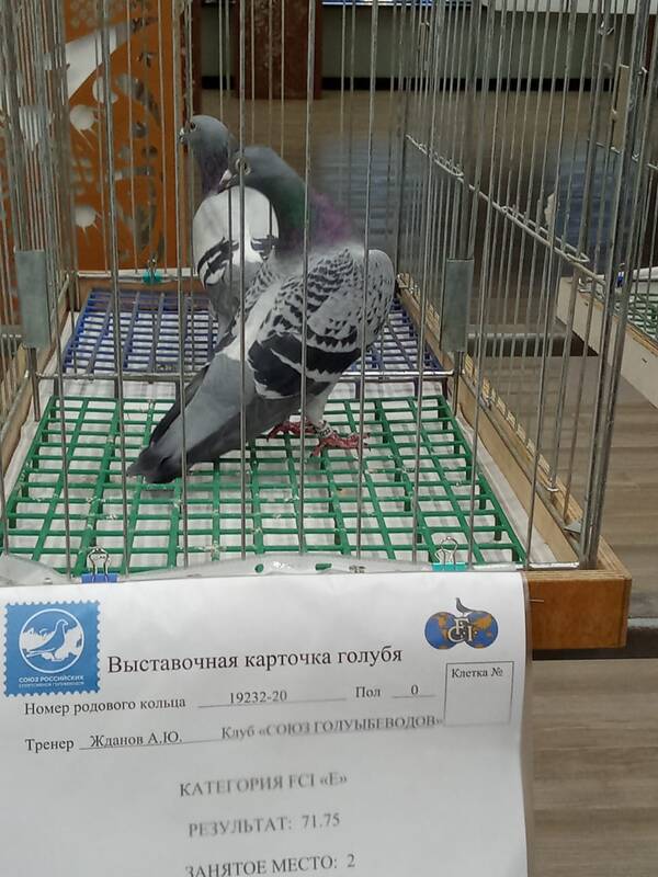 https://upforme.ru/uploads/0012/5a/ef/266/t603069.jpg