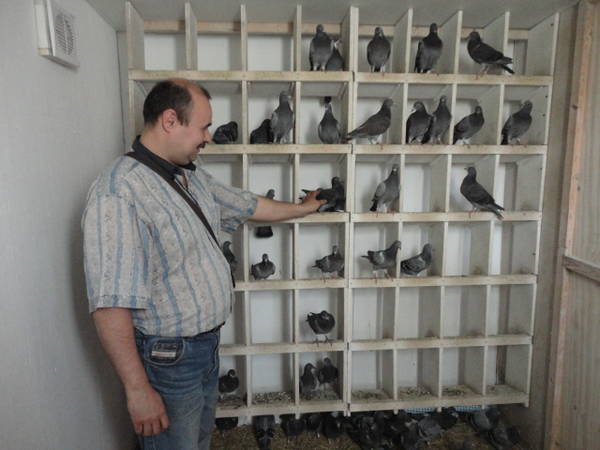 https://upforme.ru/uploads/0012/5a/ef/266/t620319.jpg