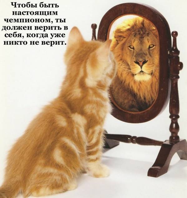 https://upforme.ru/uploads/0012/5a/ef/266/t71740.jpg