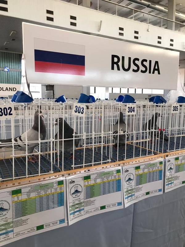https://upforme.ru/uploads/0012/5a/ef/266/t77065.jpg