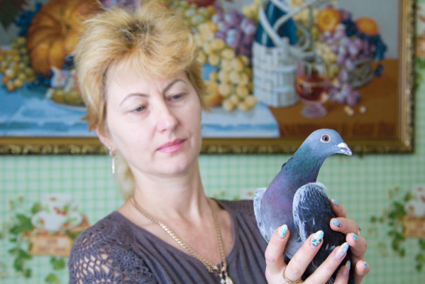 https://upforme.ru/uploads/0012/5a/ef/266/t805173.jpg