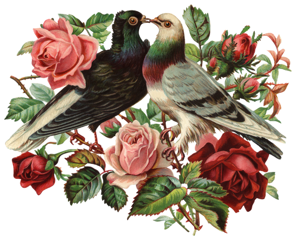 https://upforme.ru/uploads/0012/5a/ef/266/t884098.png