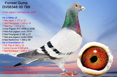 https://upforme.ru/uploads/0012/5a/ef/266/t88664.jpg