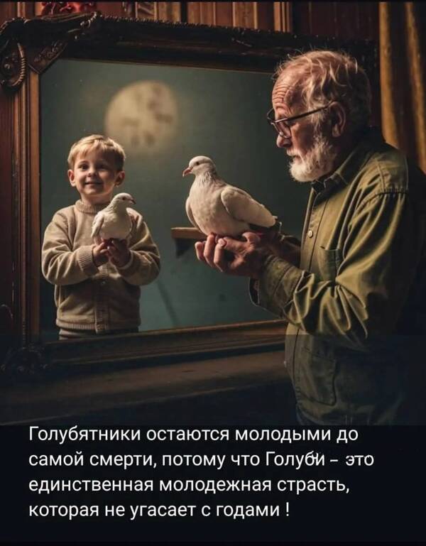 https://upforme.ru/uploads/0012/5a/ef/266/t917054.jpg
