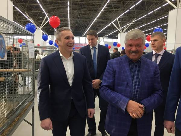https://upforme.ru/uploads/0012/5a/ef/266/t94658.jpg