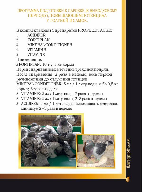https://upforme.ru/uploads/0012/5a/ef/266/t99374.jpg