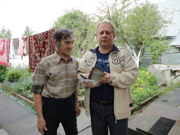 https://upforme.ru/uploads/0012/5a/ef/266/t998006.jpg