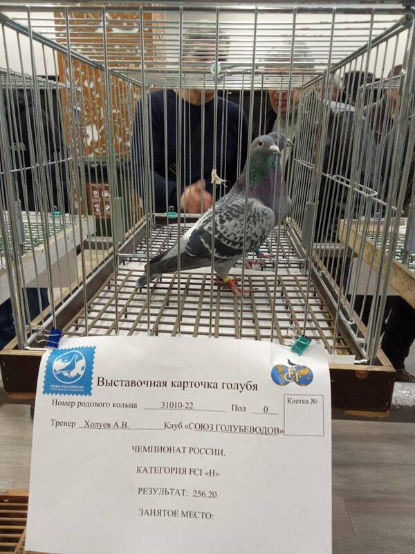https://upforme.ru/uploads/0012/5a/ef/266/t998439.jpg