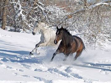 https://upforme.ru/uploads/0012/5a/ef/267/t15314.jpg