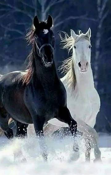 https://upforme.ru/uploads/0012/5a/ef/267/t65774.jpg