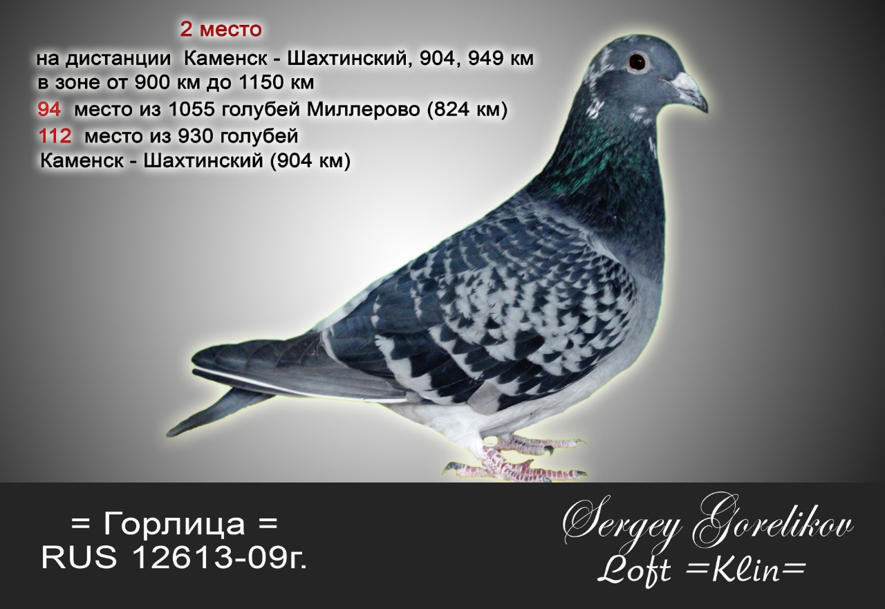 https://upforme.ru/uploads/0012/5a/ef/277/138385.jpg