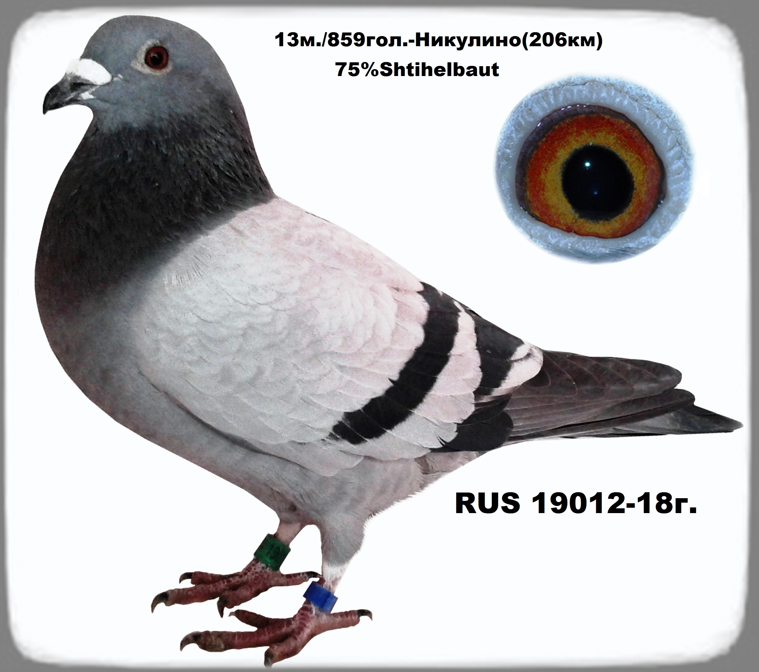 https://upforme.ru/uploads/0012/5a/ef/277/14451.jpg