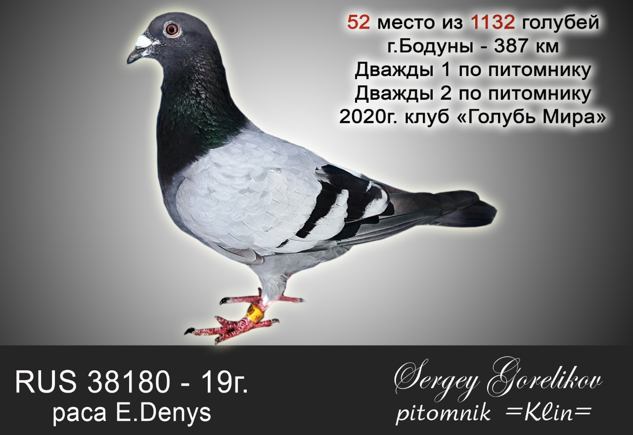 https://upforme.ru/uploads/0012/5a/ef/277/539069.jpg
