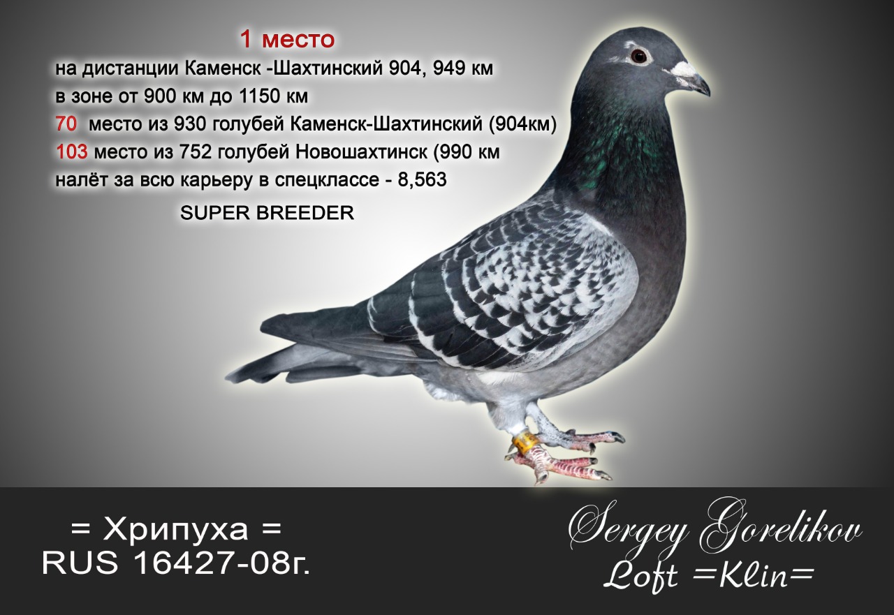https://upforme.ru/uploads/0012/5a/ef/277/560294.jpg