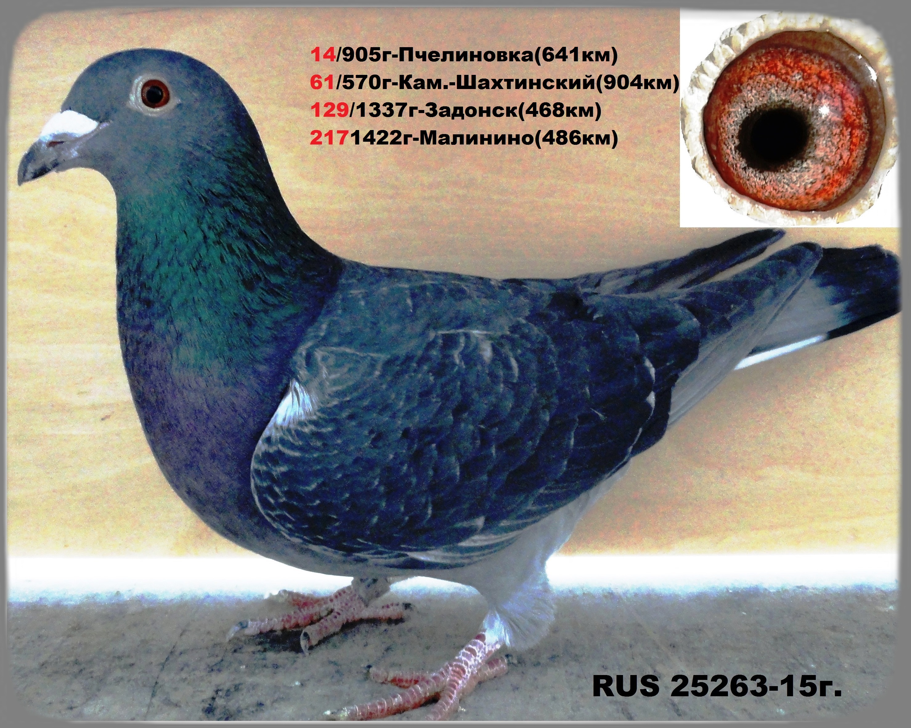 https://upforme.ru/uploads/0012/5a/ef/277/64319.jpg