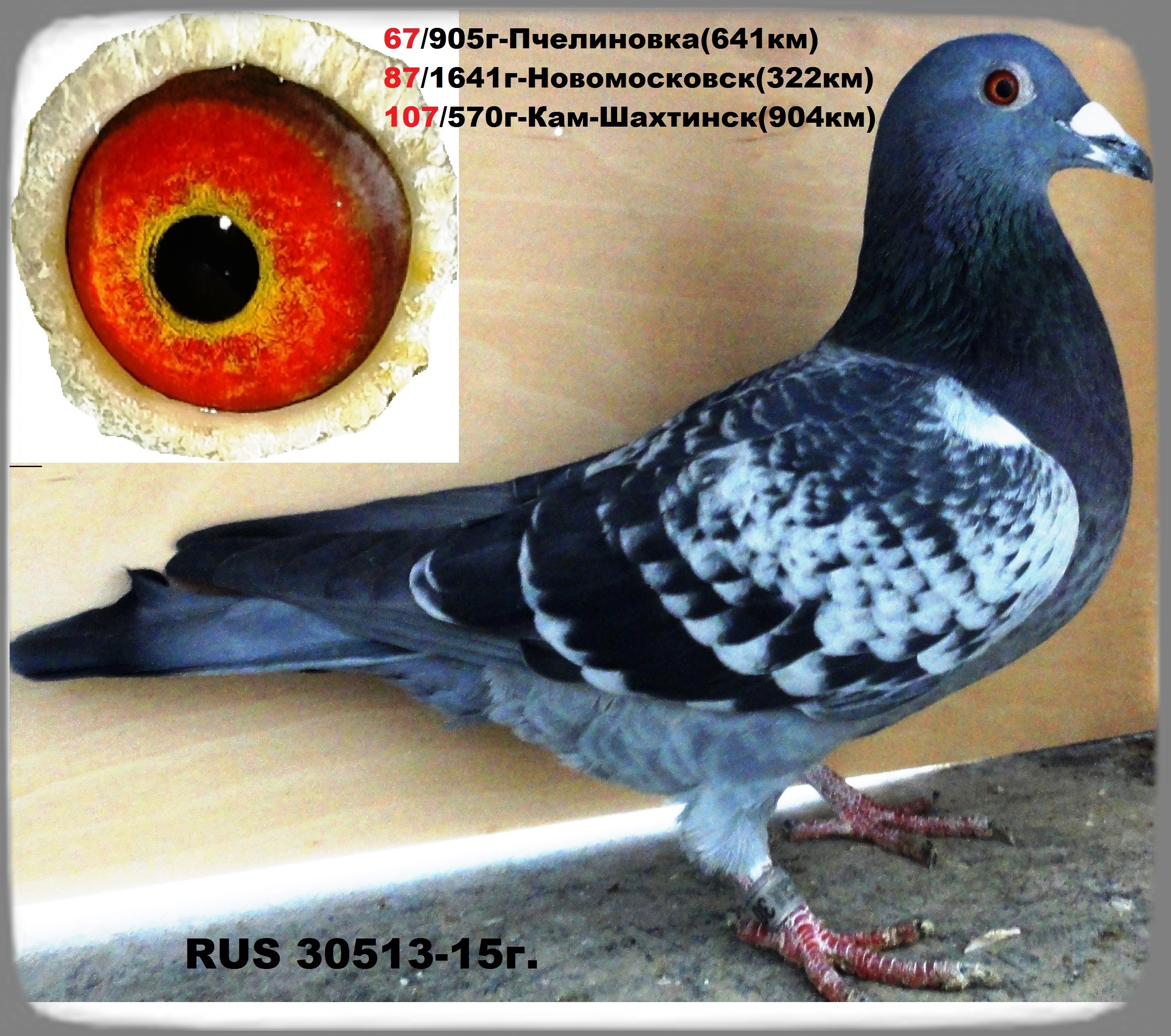 https://upforme.ru/uploads/0012/5a/ef/277/90794.jpg