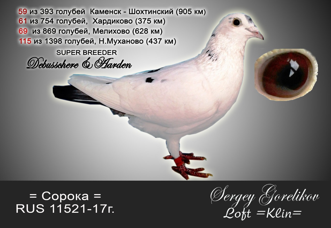 https://upforme.ru/uploads/0012/5a/ef/277/996089.jpg