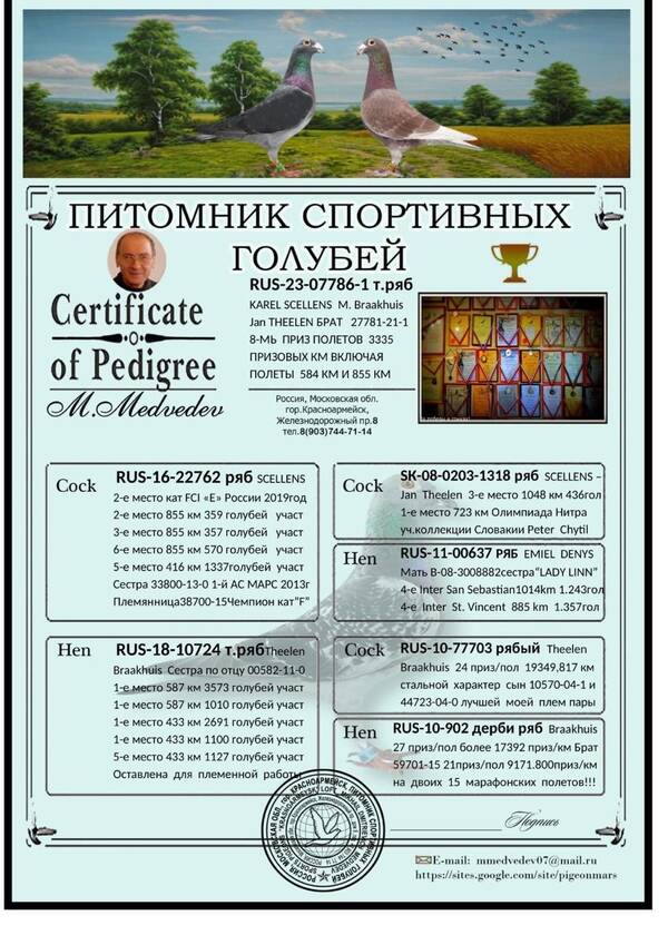 https://upforme.ru/uploads/0012/5a/ef/277/t19116.jpg